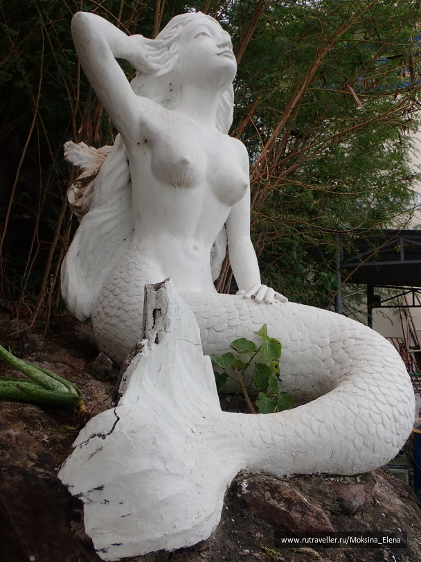 photo 1642254