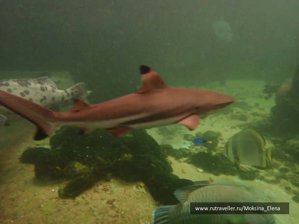 photo 1642262