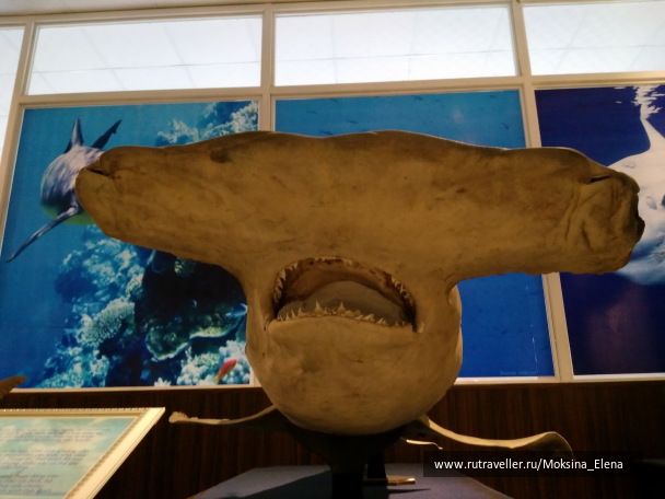 photo 1642273