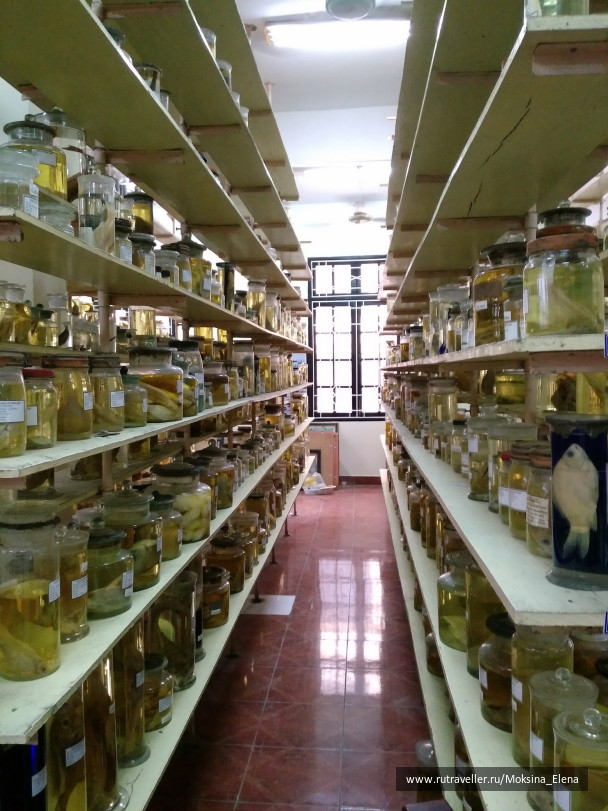 photo 1642277