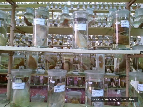 photo 1642278