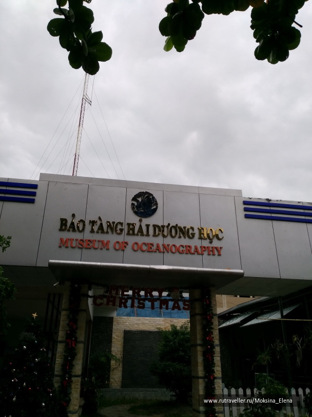 photo 1642290