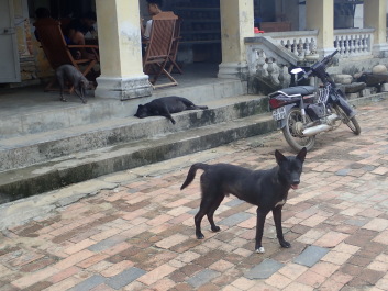 photo 1649146