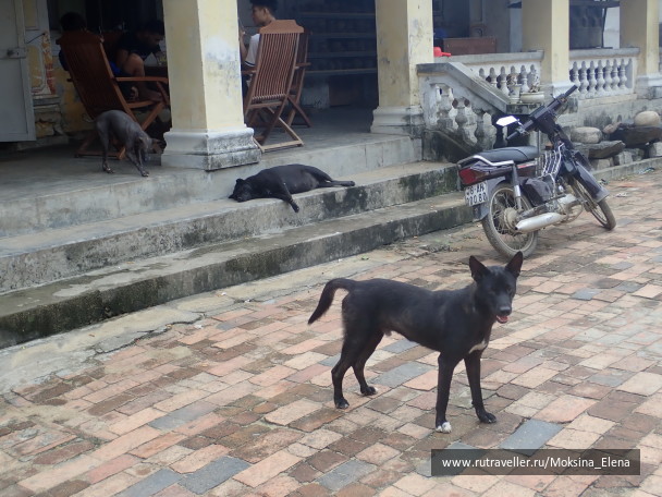 photo 1649146