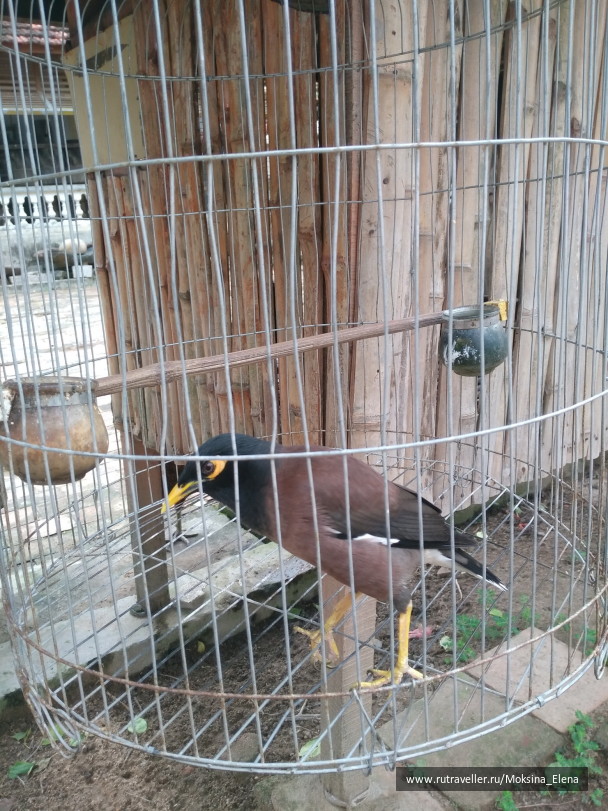 photo 1649165