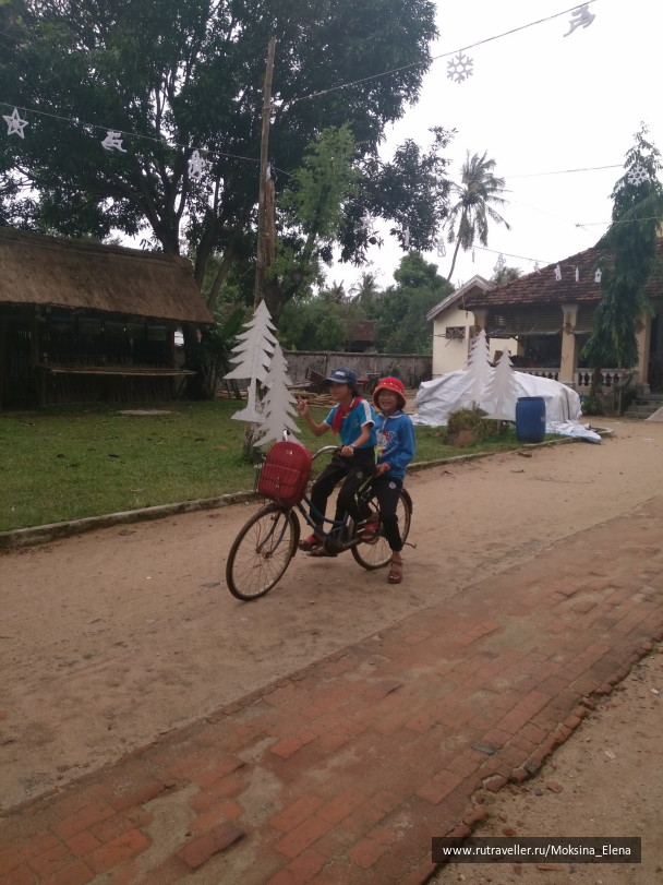 photo 1649166
