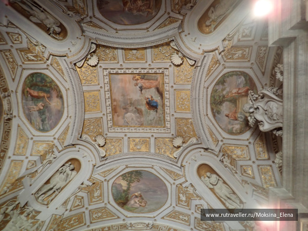 photo 1658826