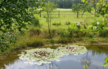 photo 1204977