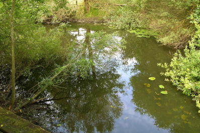 photo 1204983