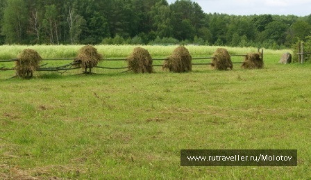photo 1204987