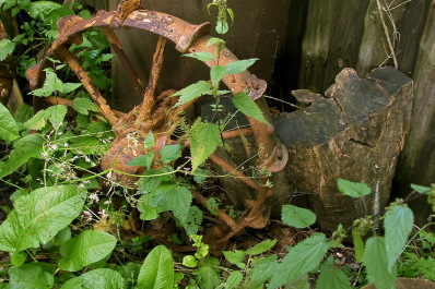 photo 1204988