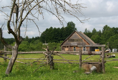 photo 1204989