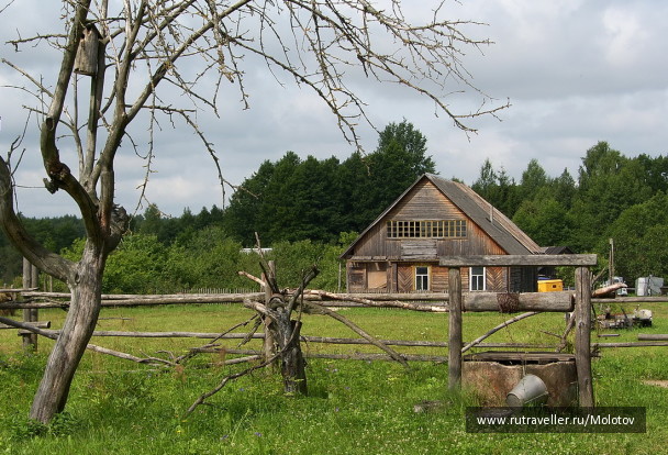 photo 1204989