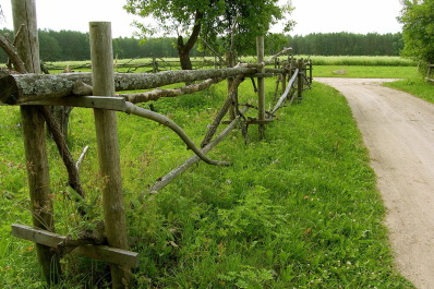 photo 1204990