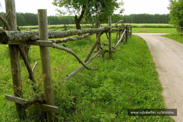 photo 1204990