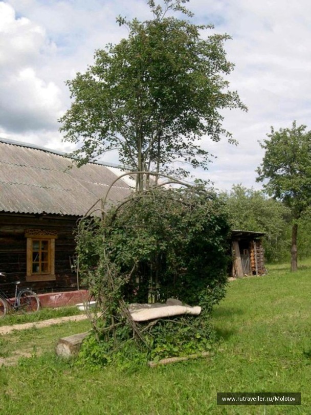 photo 1205014