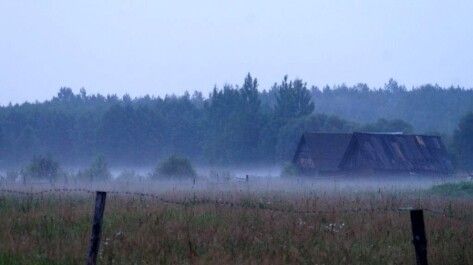 photo 1353471