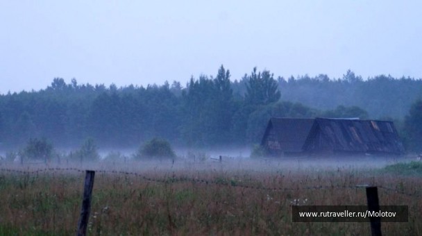 photo 1353471