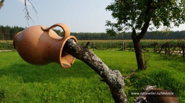 photo 1353474
