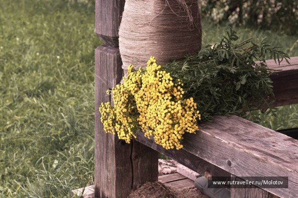 photo 1353486