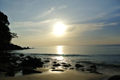 photo 277032