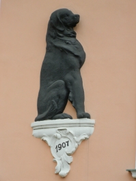 photo 785691