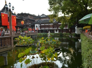 photo 907034