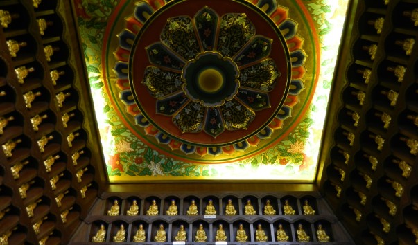 DSCN1287