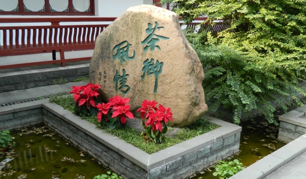 DSCN2226