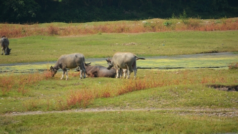 photo 913460
