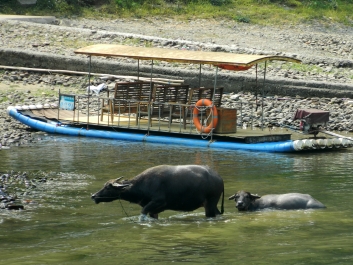 photo 913489