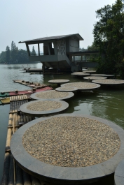 photo 917683
