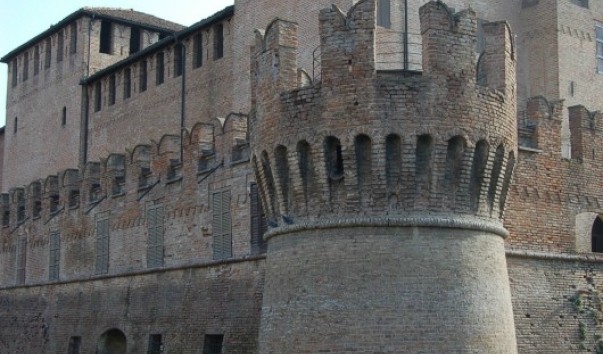 343900-530x800