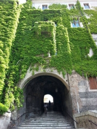 photo 806141