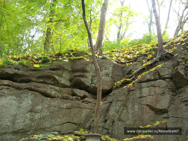photo 446294