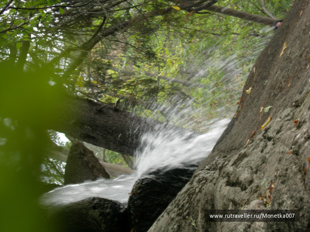photo 446296