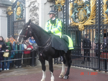 photo 171145