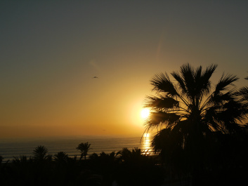 photo 252223