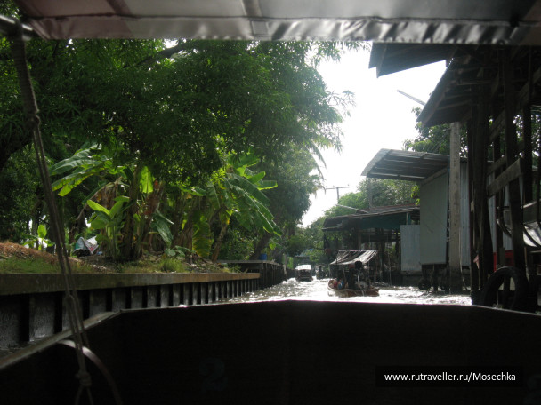 photo 115313