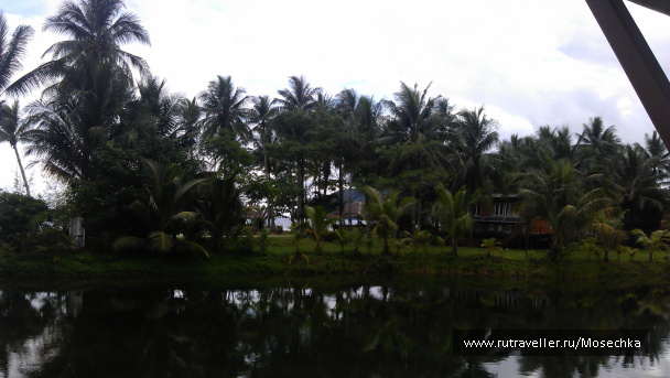 photo 115318