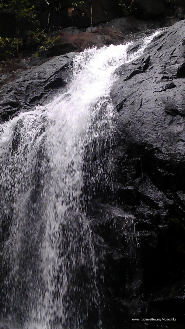 photo 115319