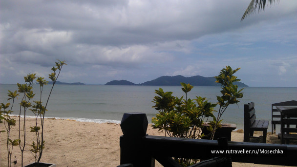 photo 115321