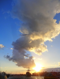 photo 565490