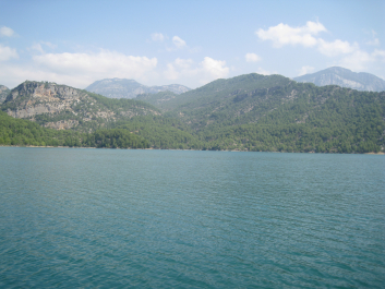 photo 1116691