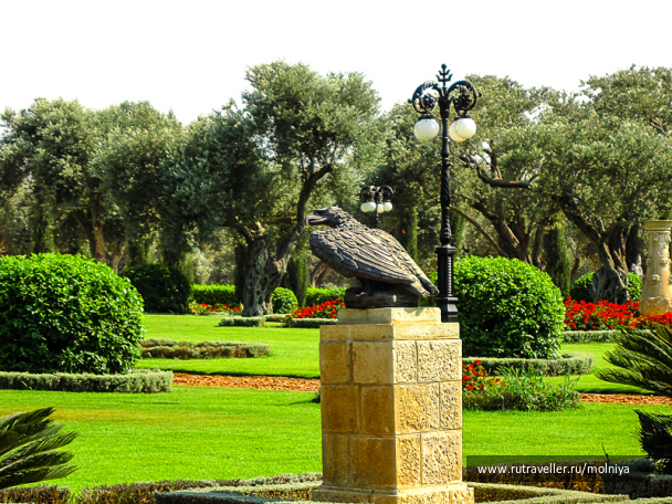 photo 468929
