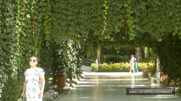 photo 286638