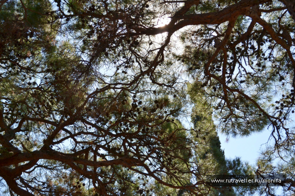 photo 663885