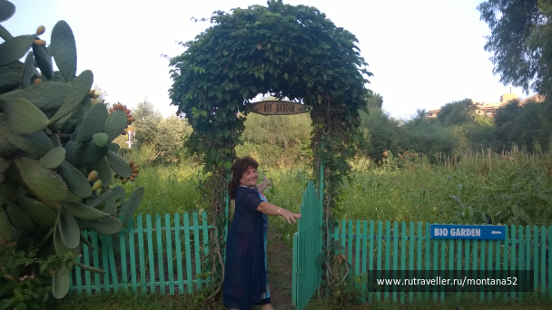 photo 1348937