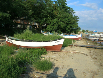 photo 710841