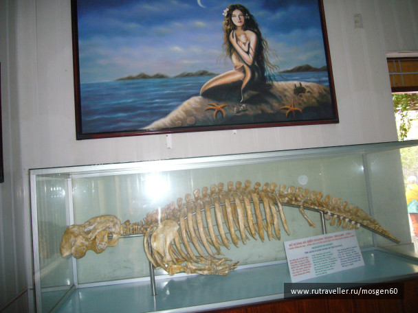 photo 1003747